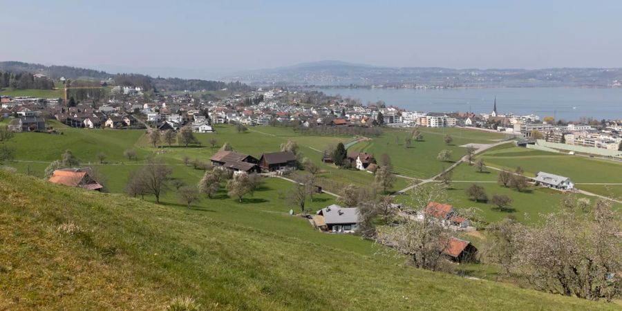 Blick auf die Gemeinde Altendorf und den Obersee.