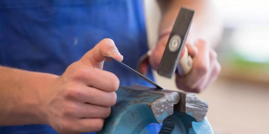 Ein Auszubildender steht mit einem Hammer an einem Schraubstock. Betriebe, die Azubis von insolvent gegangenen Firmen übernehmen, sollen eine staatliche Prämie bekommen. Foto: Sebastian Kahnert/dpa-Zentralbild/dpa