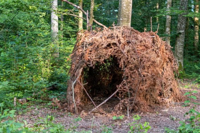 Für kleine Besucher: Höhle aus Ästen beim Waldhaus Uezwil. Höhle Waldhaus Uezwil