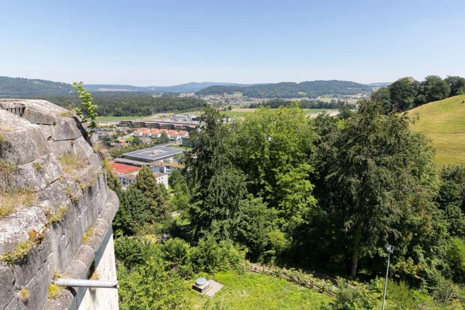 Blick vom Rosengarten