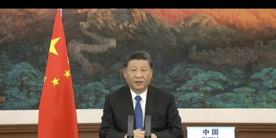 Xi bei seiner Videoansprache