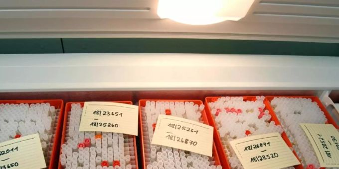 Im Molekularbiologischen Institut für Virologie am Universitätsklinikum Leipzig liegen Serenproben in einer Kühlbox. Foto: Waltraud Grubitzsch/dpa-Zentralbild/dpa Im Molekularbiologischen Institut für Virologie am Universitätsklinikum Leipzig liegen Serenproben in einer Kühlbox. Foto: Waltraud Grubitzsch/dpa-Zentralbild/dpa