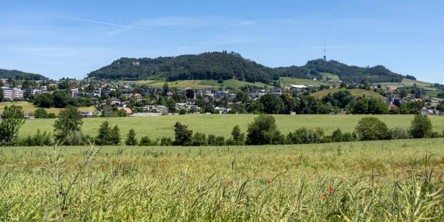 Blick auf Bolligen und den Bantiger.