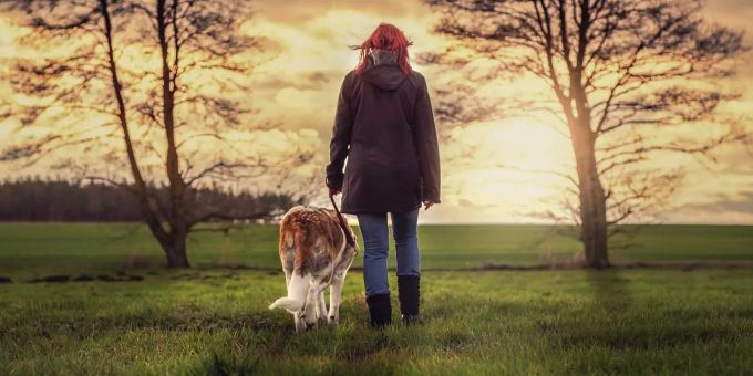 Eine Besitzerin macht mit ihrem neuen Hund einen Spaziergang. Spaziergang mit Hund spenden