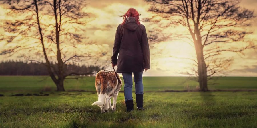 Spaziergang mit Hund spenden