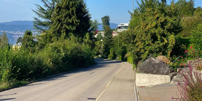 Für Grünflächen in Obermeilen: IG für ein nachhaltiges Meilen. Strasse.