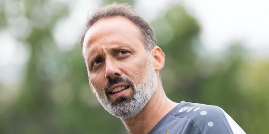 Pellegrino Matarazzo