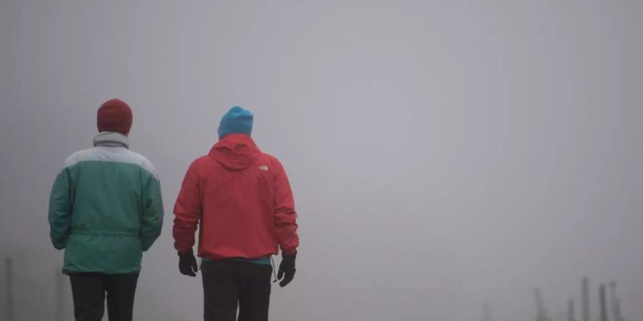 Spaziergang im Nebel. Foto: Sebastian Gollnow/dpa
