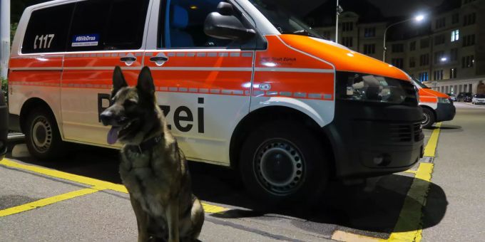 Der Polizeihund Romulus. polizeihund