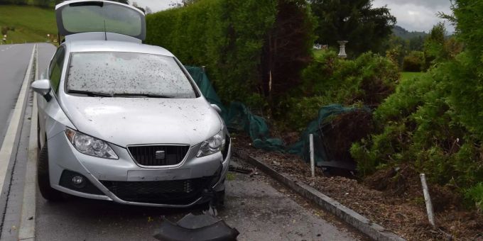 Personenwagen kollidiert mit Thujahecke. Personenwagen kollidiert mit Thujahecke