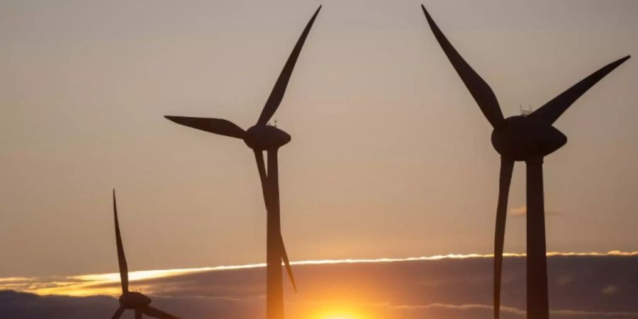 Windenergieanlagen in Sachsen-Anhalt
