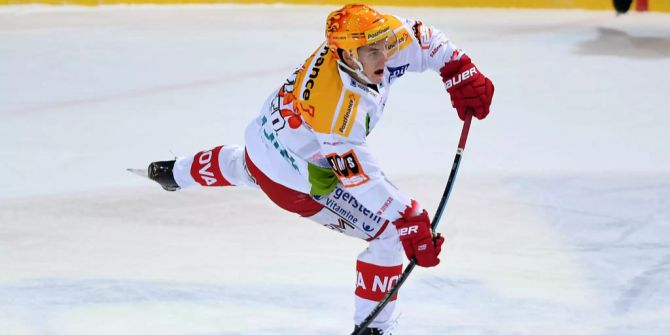 nhl 2018/19 eishockey