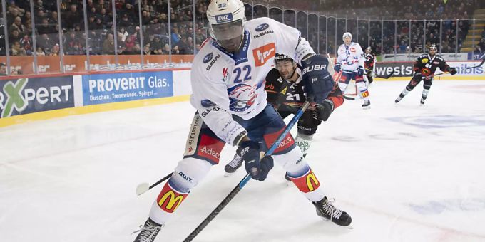 Nati-Verteidiger - Dave Sutter wechselt von den Lions zu Gottéron