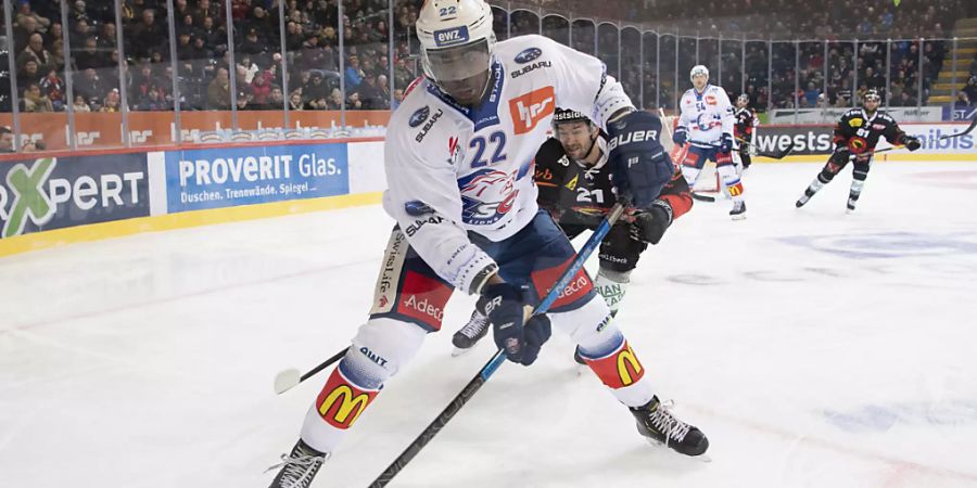 Dave Sutter spielt ab der nächsten Saison für Fribourg-Gottéron