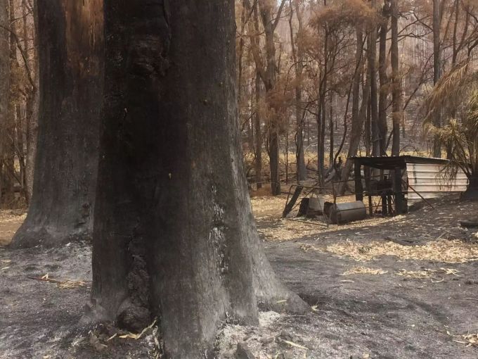 Viele Bäume auf dem Grundstück der Familie Tribolet sind verkohlt, vereinzelt brennt es auch Wochen nach dem Buschfeuer noch, alle paar Tage hört man einen Baum umfallen. Tribolet Feuer