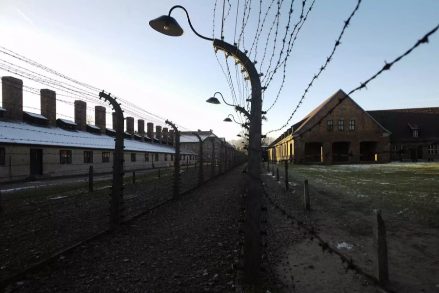holocaust mengele dossier
