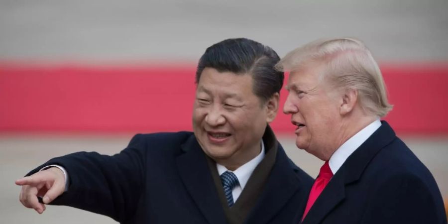 Xi Jinping und Donald Trump