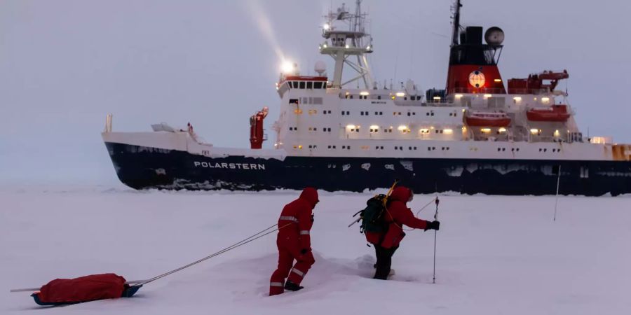 Das Forschungsschiff «Polarstern» stand bereits 2013 im Weddell-Meer im Einsatz.