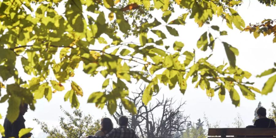 Menschen geniessen die warmen Sonnenstrahlen des Herbstes in Zürich. (Archivbild)