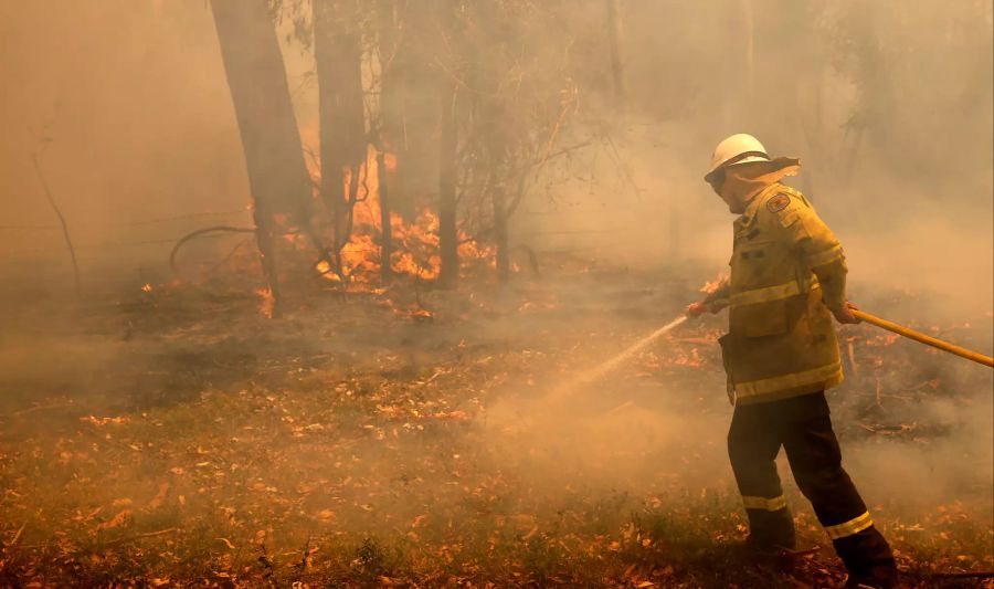 buschfeuer australien