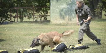 bundesheer