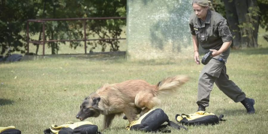 bundesheer