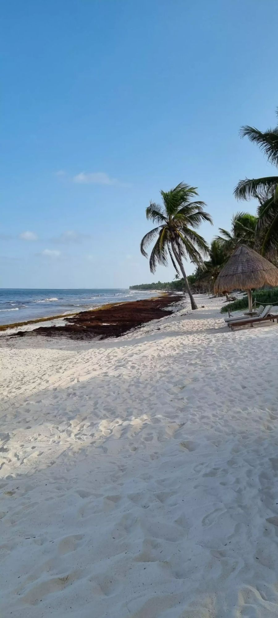 In Tulum sei Corona ganz weit weg, sagt Nau.ch-Journalist Nick Mäder.