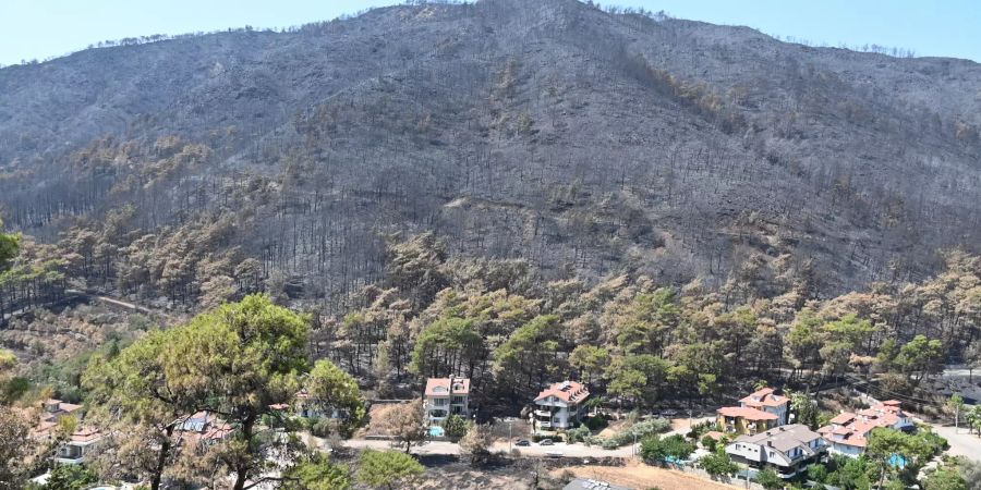 Brände treffen Tourismus in Türkei schwer
