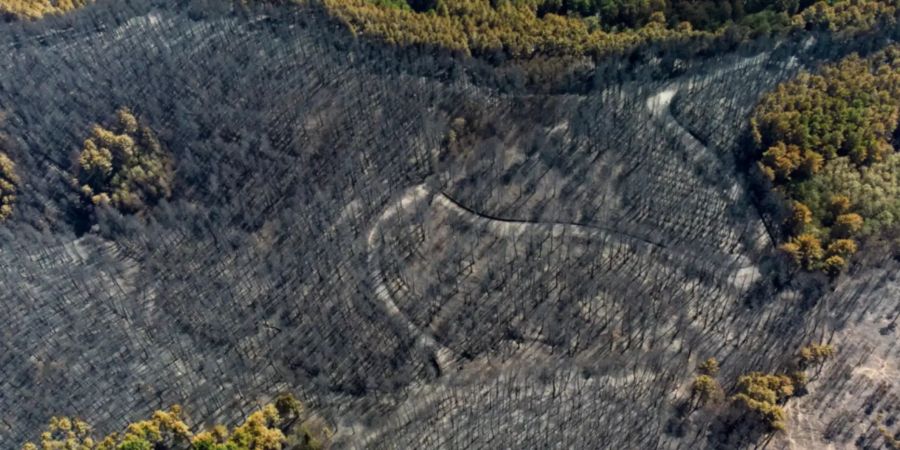 Aspromonte Italien Brände