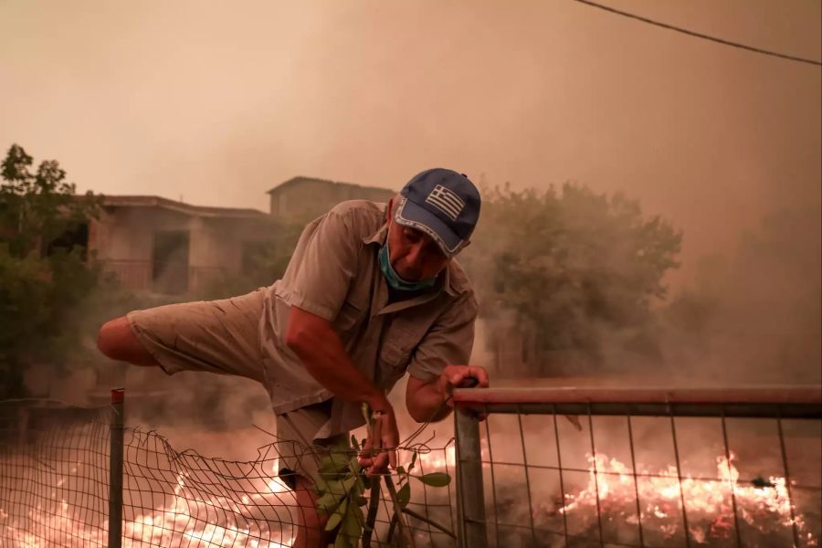 Wildfires in Greece