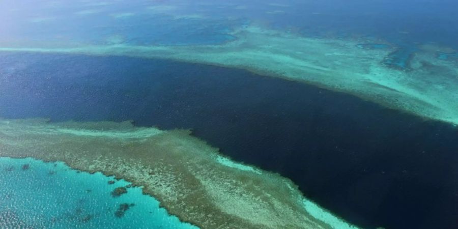 great Barrier Reef