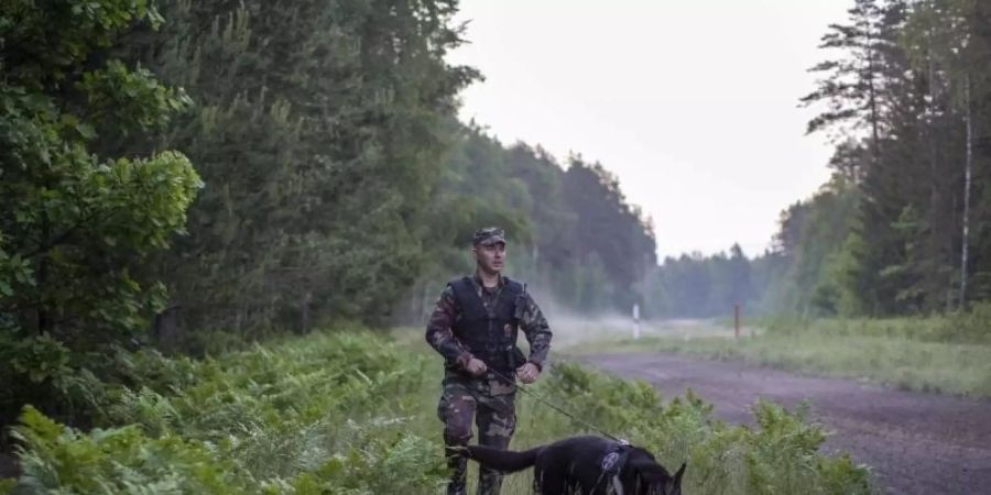 Ein Mitglied des litauischen Grenzschutzes patrouilliert im Juni mit einem Hund an der Grenze zu Belarus. Foto: Mindaugas Kulbis/AP/dpa
