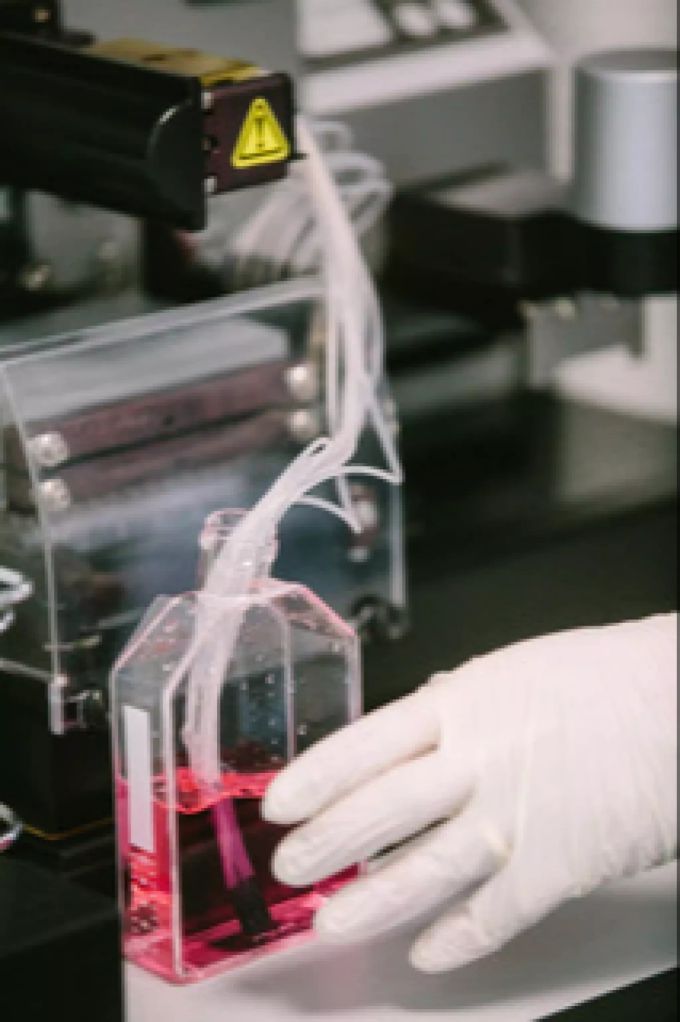 Im Labor in Bellinzona wird der monoklonale Antikörper Sotrovimab produziert. labor Bellinzona coronavirus
