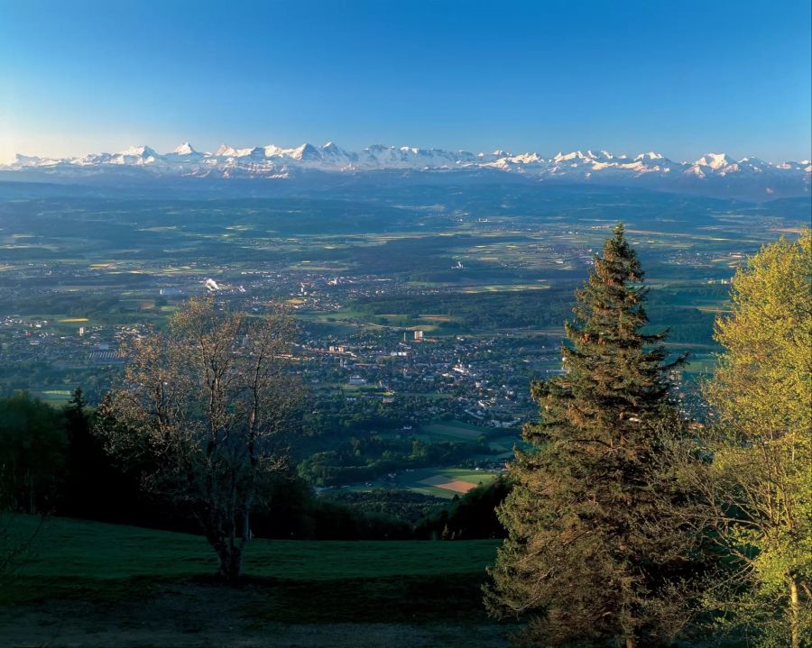 Bei gutem Wetter reicht der Blick im Osten bis zum Säntis und im Süden bis zum Mont Blanc.