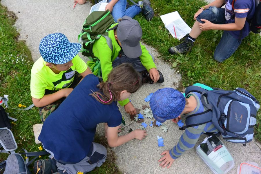 Puzzle im Naturpark Beverin