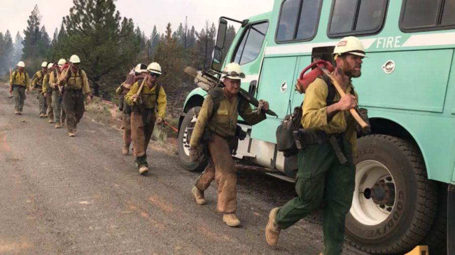 Die Feuerwehr in den USA kämpft gegen die Waldbrände.