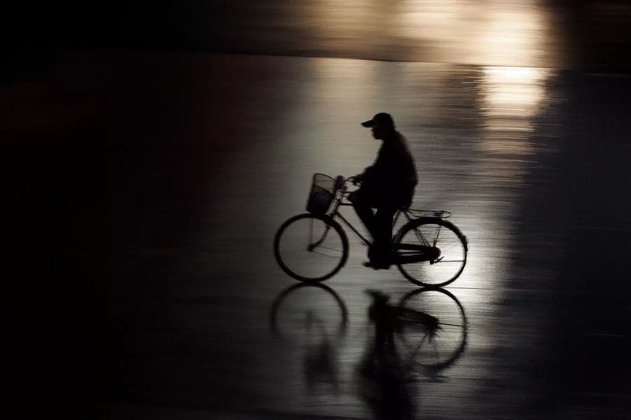 Verzichten Sie auf Fahrten in der Dämmerung oder in der Nacht. So stören Sie keine Wildtiere.