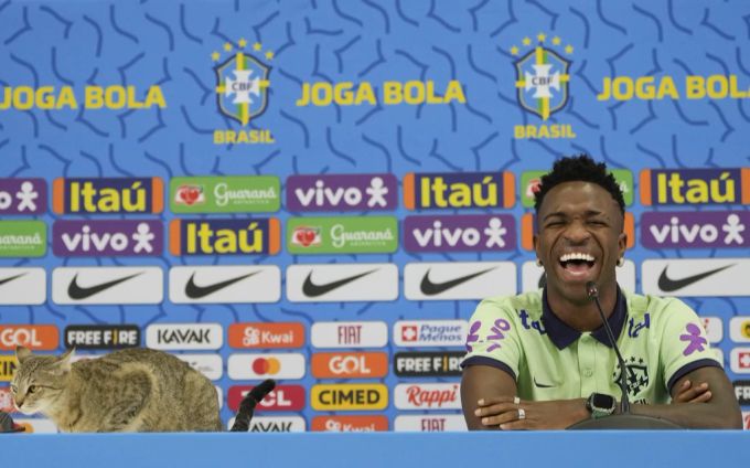 Ein seltener Gast an der WM 2022: Diese Katze crasht die Pressekonferenz der Brasilianer. WM 2022