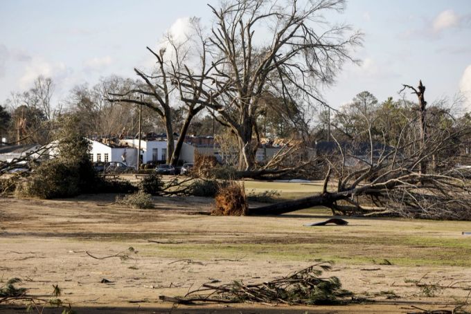 Umgeknickte Bäume und beschädigte Häuser in Selma. Torndao