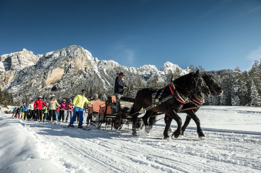 Pferde Ski Piste Gebirge