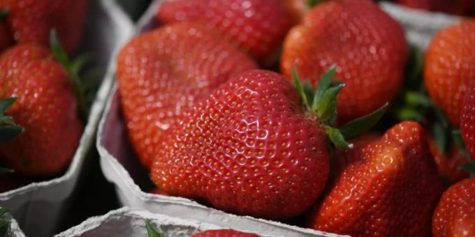 Bonn - Erdbeeren sind teurer als vor einem Jahr
