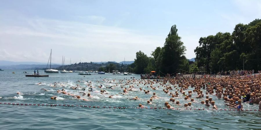 Die ambitionierten Schwimmer ziehen davon.