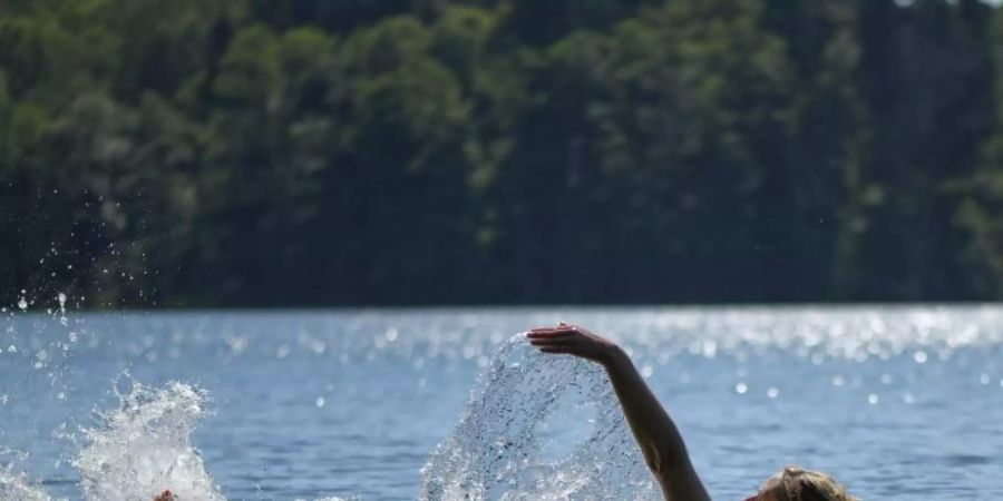 Eine Frau schwimmt im Trepliner See in Brandenburg. Foto: Patrick Pleul