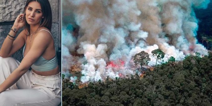 Petition - Anja Zeidler gibt Billig-Fleisch Schuld an Amazonas-Feuer