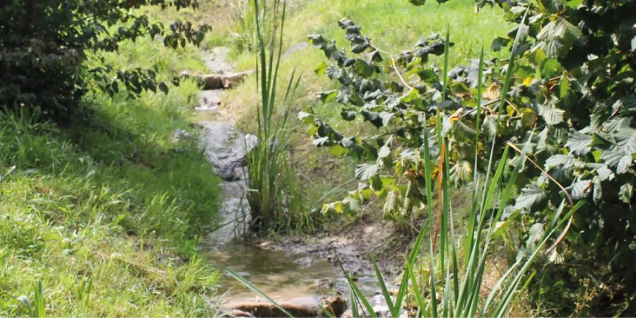 Hochwassersicherer Ausbau und Revitalisierung Bönibach