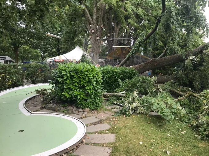 Das Gewitter liess auch in der Minigolf-Anlage zwischen Lido und Verkehrshaus seine Spuren. Der Baum beschädigte gleich drei Bahnen. Gewitter