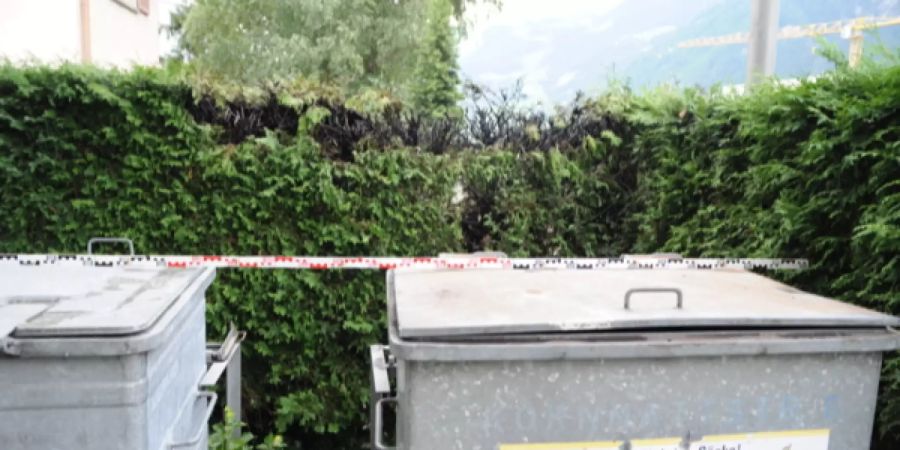 Glimmbrand einer Hecke