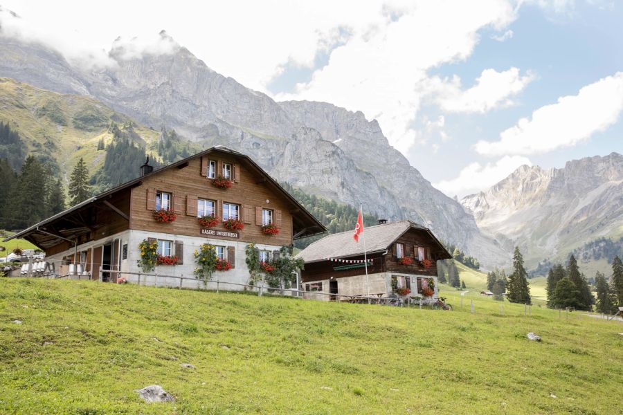 Alp Untertrübsee Engelberg Alpkäse