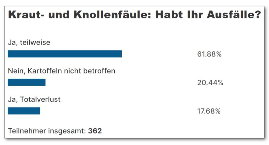 Kraut- und Knollenfäule Kartoffeln