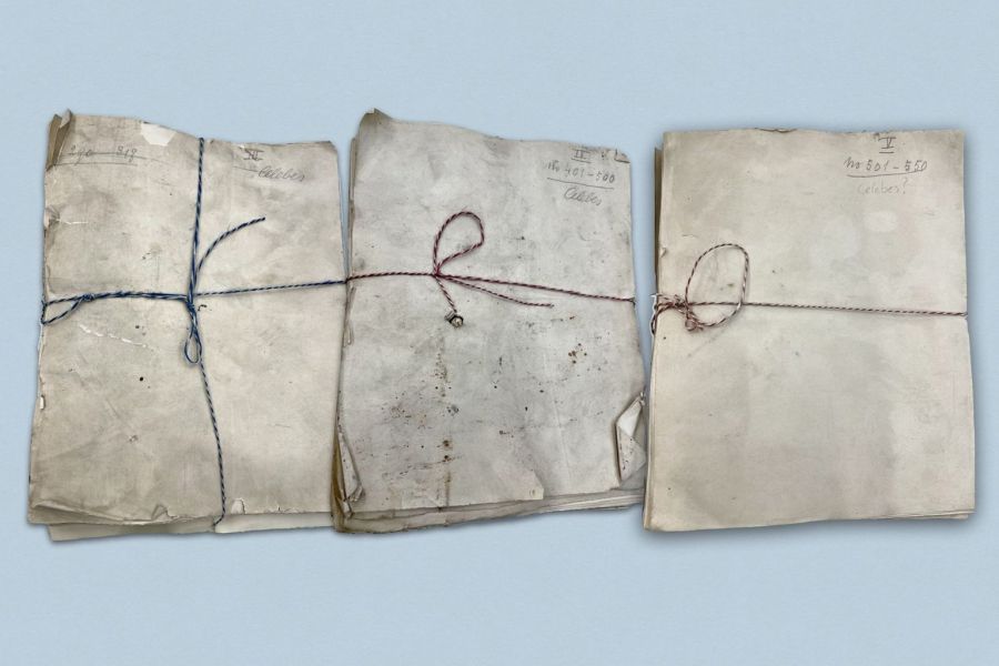 Die Taschenherbarien mit Pflanzen aus Sulawesi